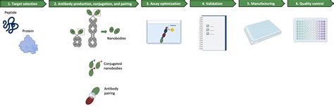 Image result for Elisa Process