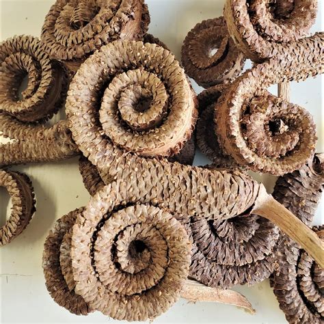 Image result for Compot Coarne Fructe