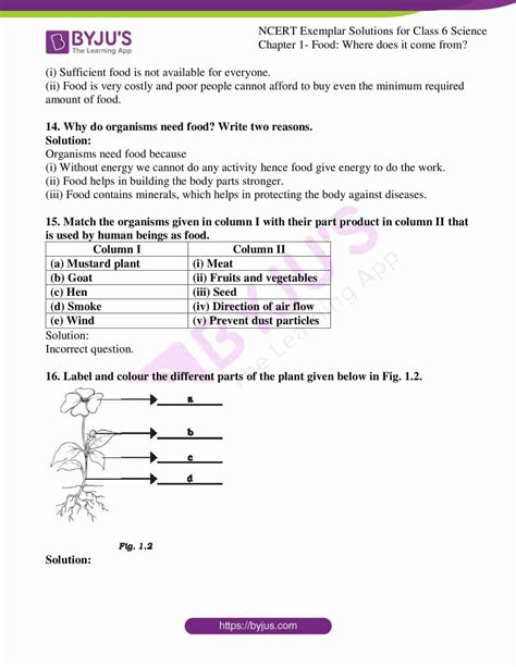 Science Class 6 1 Lesson Answer 的图像结果