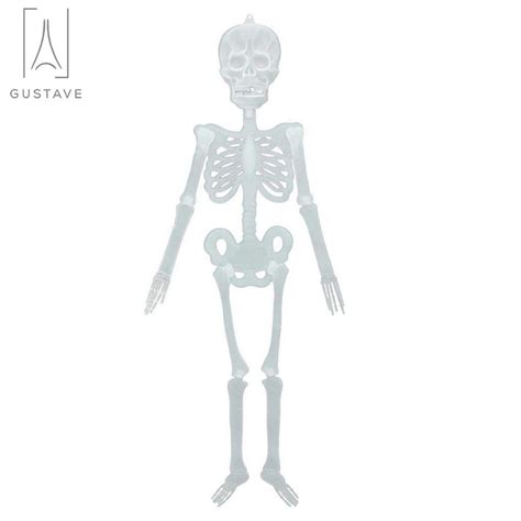 Buy Gustave 2-Pack 5FT Poseable Human Skeleton Halloween Decoration ...