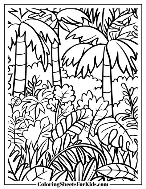 Map Jungle Coloring Pages [2025]