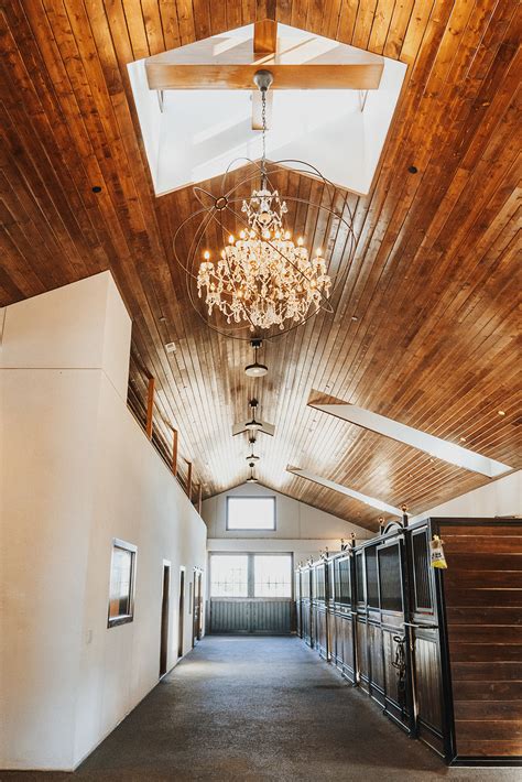 Stable 的图像结果