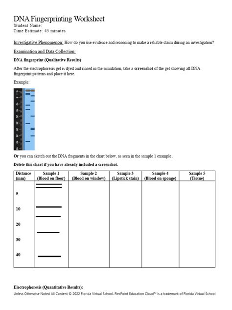 Image result for DNA Fingerprinting Lab Worksheet Printable