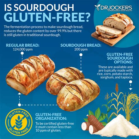Is Sourdough Gluten Free