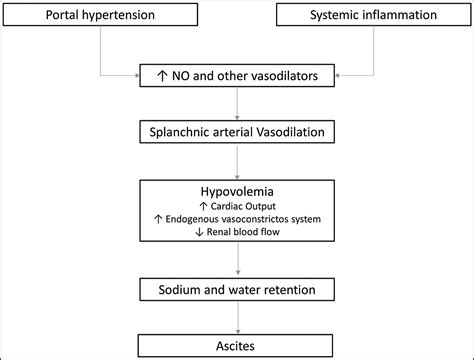 Antibiotics for SBP Prophylaxis – Why or Why Not? | AASLD