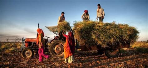 No hike in Budget outlays for agriculture in 2 years; reduction in real ...