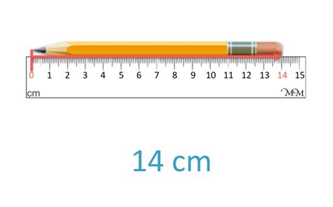 Using Pencil for Measurement 的图像结果