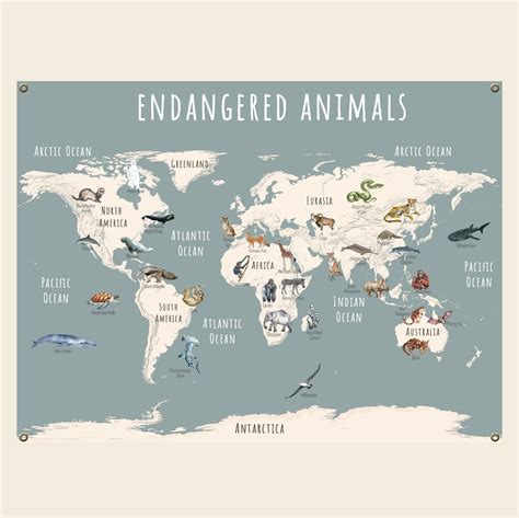 Endangered Animals World Map in Aqua on Fine Art Canvas or Archival Pa ...
