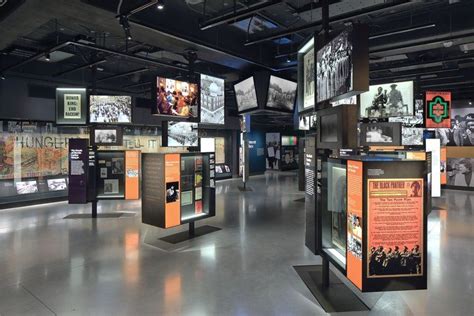 History Museum 的图像结果