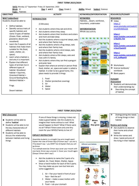 Grade 2 Science Lesson 的图像结果