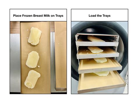 Freeze Drying Breast Milk: Preserving Liquid Gold