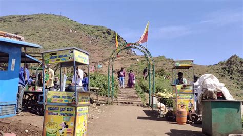 Mullayanagiri Peak: Timings, Entry Fees, Trekking!
