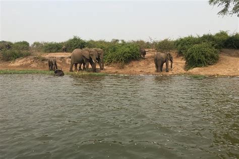 2023 Boat Cruise along the Kazinga Channel in Queen Elizabeth National Park
