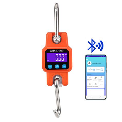 WH-C06 Bluetooth 300kg Hanging Scale Portable Wholesale by WeiHeng