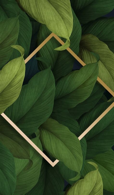 Pin by Timberly's_Tones on Texture Images | Red roses wallpaper, Green ...