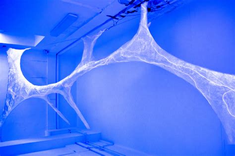 Blue Brain Project 的图像结果