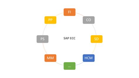 Image result for SAP ECC Support