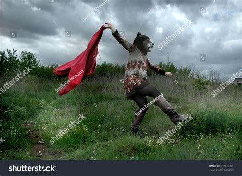 Dancing Wolves 的图像结果