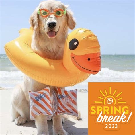 Pool Day for Spring Break Week! - Woodbury