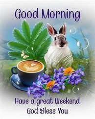 Image result for Good Morning Bunny Coffee
