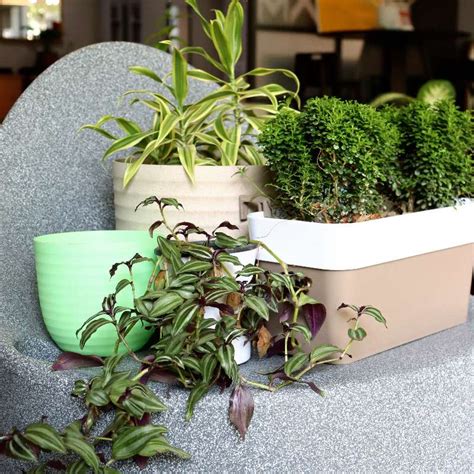 Outdoor Furniture + Planters, Pots Online | Shipping Pan-India – Su ...