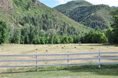 Jolley's Ranch: On-Site Possibilities