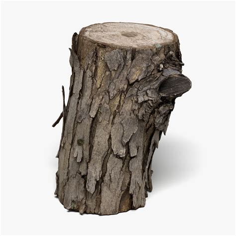 Image result for 3D Log