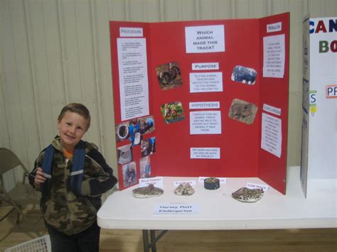 Image result for Humdinger Science Project