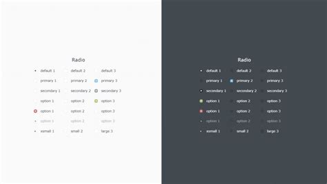 Radio Button in JavaScript 的图像结果