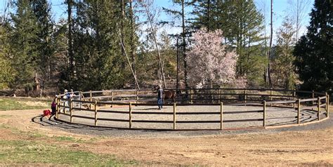 The Benefits of a Round Pen - Your Horse Farm