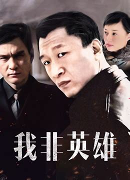 《我非英雄》2004年中国大陆剧情,犯罪电视剧在线观看_蛋蛋赞影院