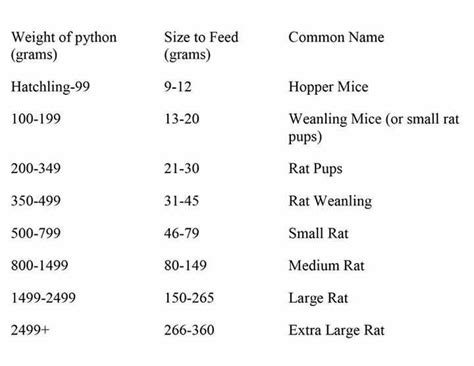 Image result for Python Feeding