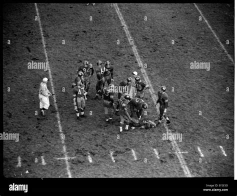 Canadian Football League 的图像结果