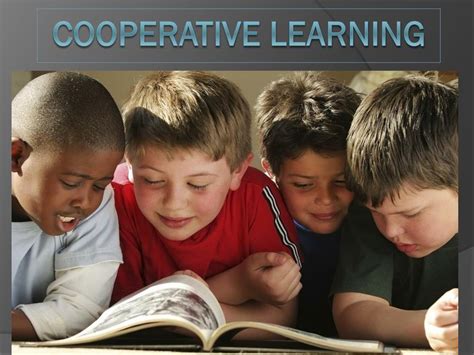 Learning Cooperatively 的图像结果