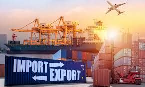 Import & Export License