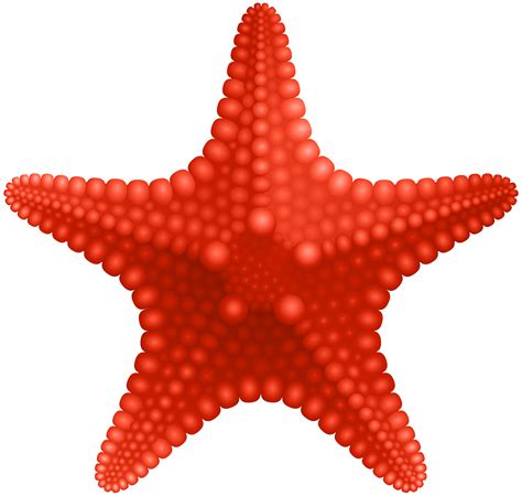 starfish clip art 10 free Cliparts | Download images on Clipground 2025