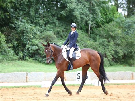 Centre brings 73 major railway stations under special action plan to ...