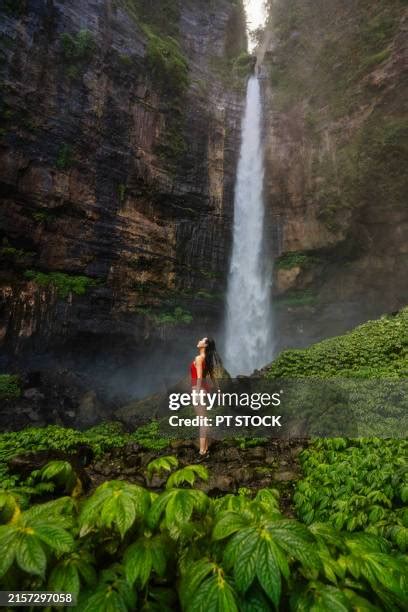 Image result for Eastern Java Bali Rain Forest