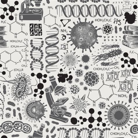 RNA Drawing 的图像结果