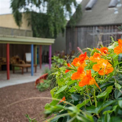 Berkeley – Duck's Nest Preschool
