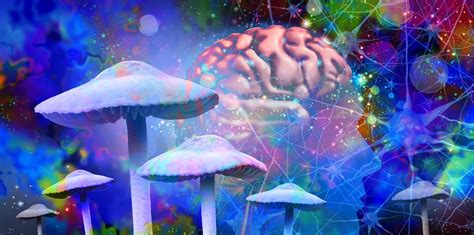 Psychedelic Science 的图像结果