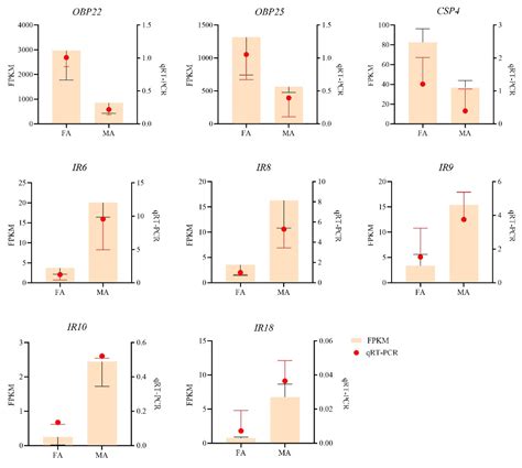 Antennal Transcriptome Analysis and Identification of Olfactory Genes ...