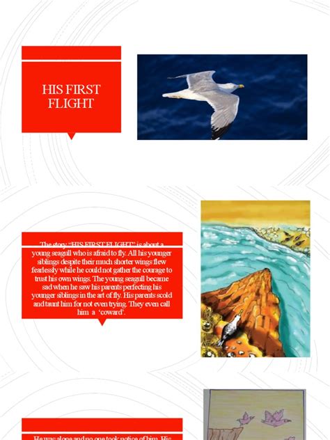 Image result for His First Flight Question Answers PDF