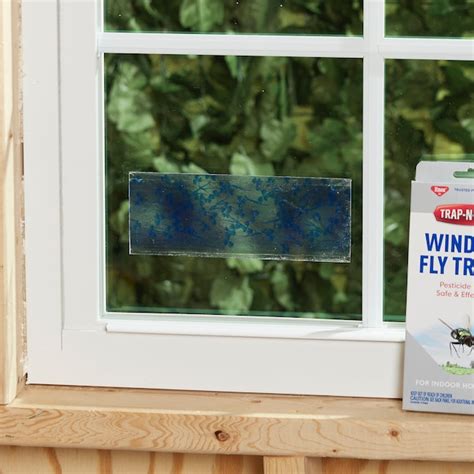 Enoz TrapNKill Window Fly Trap Indoor Insect Trap (4-Pack) ET5400.6 at ...