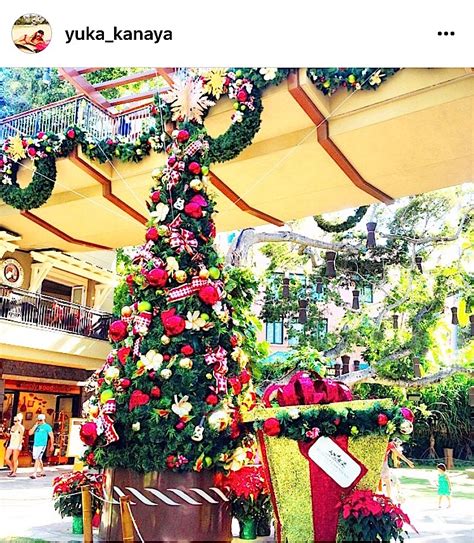 ハワイのクリスマスイルミネーション！ワイキキ・アラモアナ・カハラ | 絶景in - 国内 / 海外旅行記