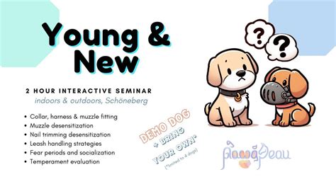 Desensitizing Young & New Dogs - in Berlin, tuesday coworking (Belziger ...