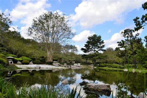 Garden Route Botanical Garden, george, South Africa - Top Attractions ...