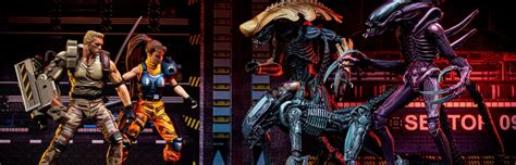 Image result for Alien vs Predator Hero