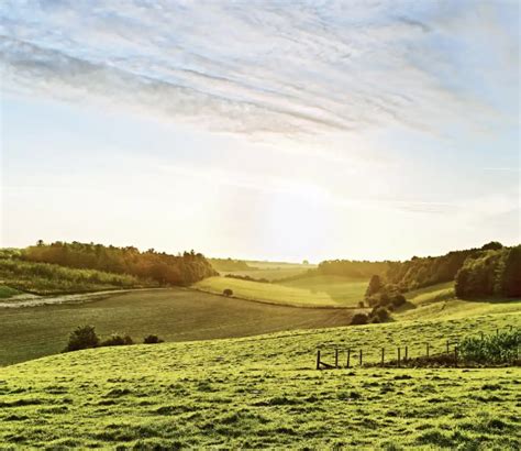 Farm Shop Program 的图像结果