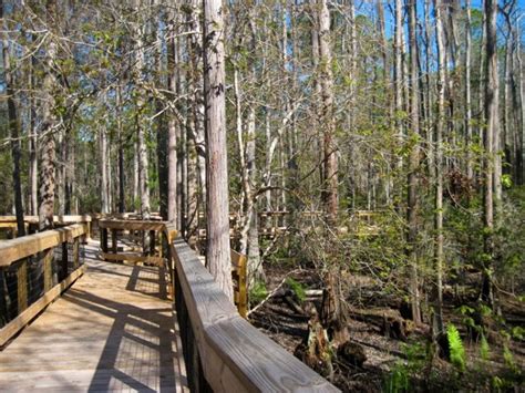 Morningside Nature Center, gainesville, United States Of America - Top ...